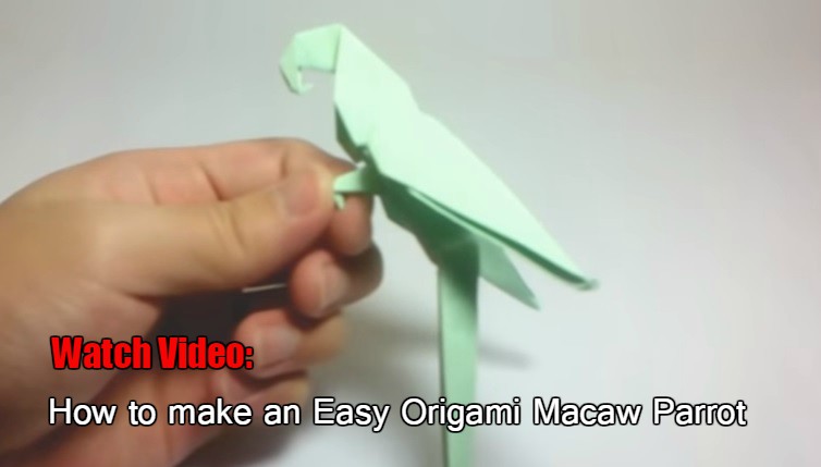 How to Make an Easy Origami Macaw Parrot