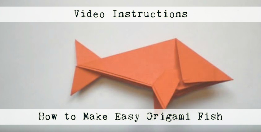 Ho to Make Easy Origami Fish Beginners Guide